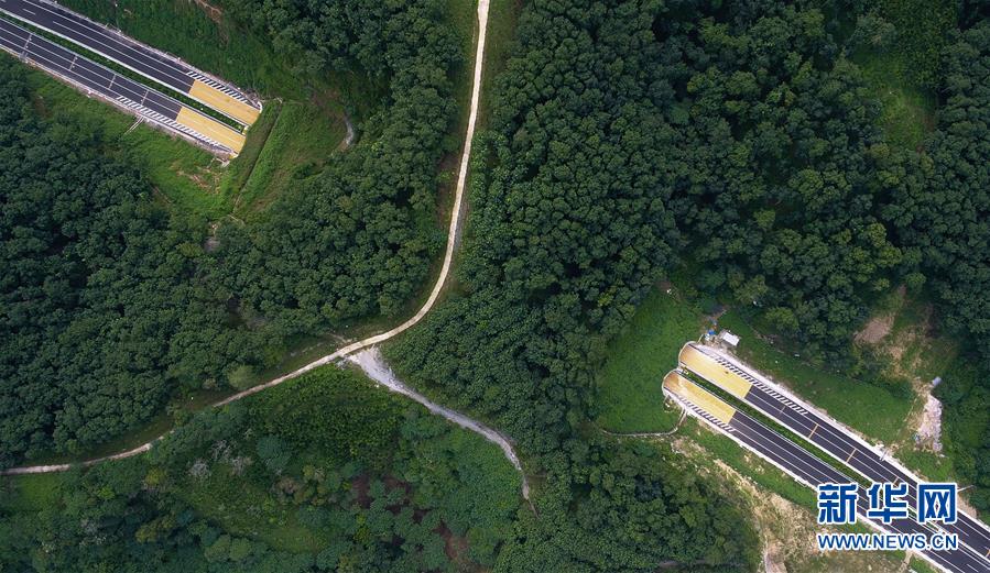 （社會(huì)）（4）海南：瓊樂(lè)高速開通在即