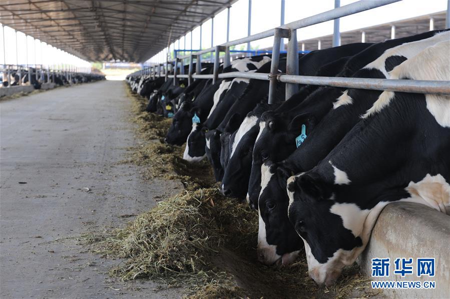 （寧夏60年）（8）寧夏中衛(wèi)：科學治沙顯成效