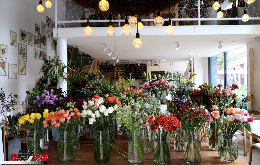 從決定從事鮮花這個行業(yè)以來，王黎媛花了很多的時間和精力去學(xué)習(xí)花藝，不斷提高自己的專業(yè)水平。而在小店的選址、裝修和布置方面，王黎媛同樣花費了不少心思，“希望我的小店和鮮花一樣，是有溫度的、鮮活的?！绷硗猓⌒〉幕ǖ暌膊刂蟠蟮膲粝?，“我們云南鮮花很多，但真正做成品牌的卻很少，這是非?？上У摹Ｎ蚁Ｍ盐业牡曜龀善放?，不光能扎根昆明，還能落地到云南的其他城市，甚至省外的城市?！眻D為王黎媛的花店一角。新華網(wǎng) 周亞平/攝 念新洪/文